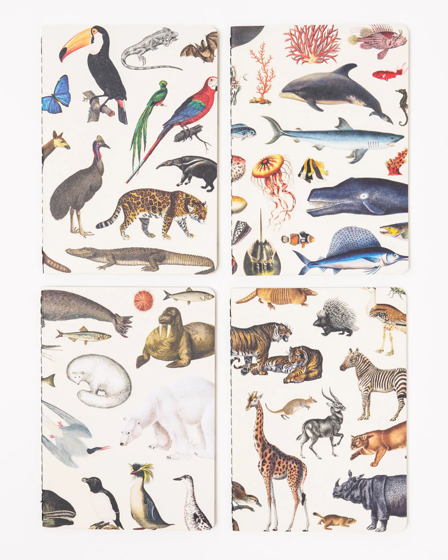 Zoology Pocket Notebook 4-pack - Image 3